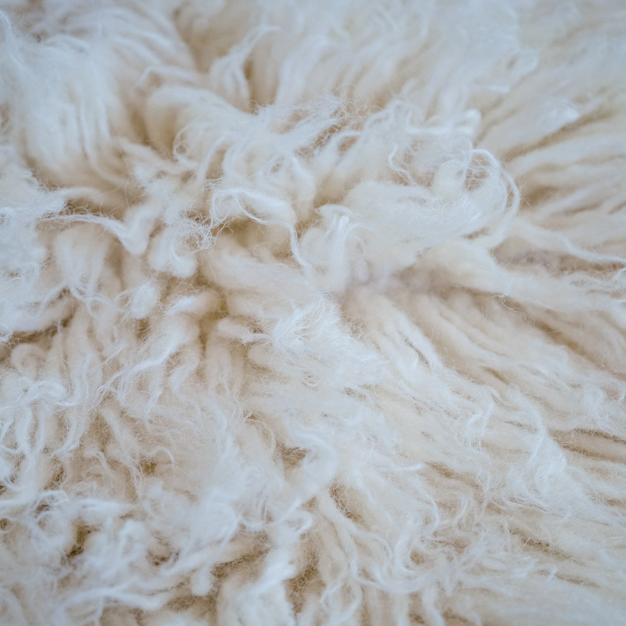 Flokati Rug - 2000 grms Thickness - Image 3